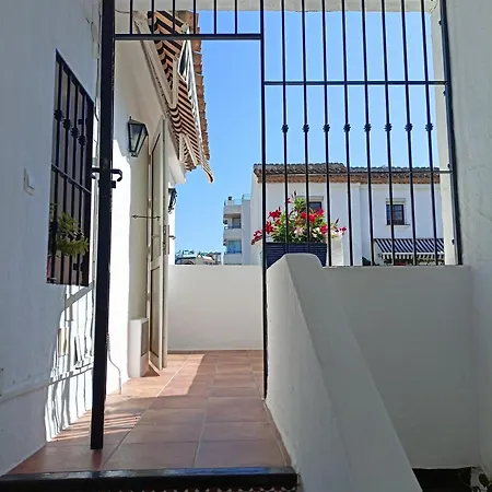 Pura Vida *